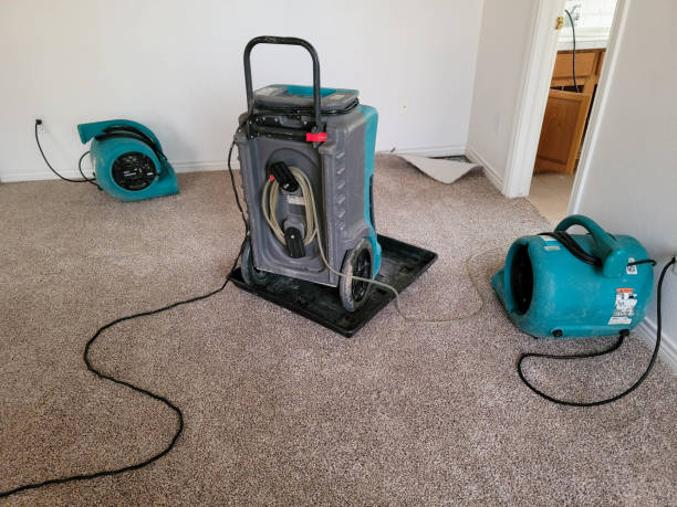 Best Water damage restoration near me  in Milroy, PA