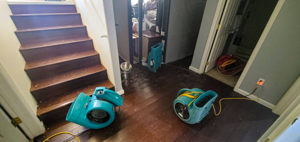 Best Flood damage cleanup  in Milroy, PA
