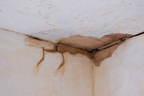 Best Water damage restoration services  in Milroy, PA