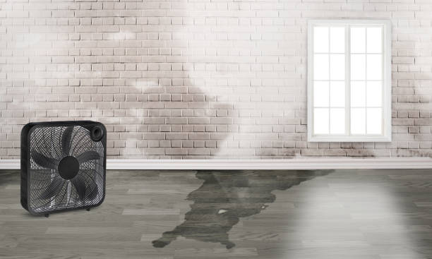 Best Fire Damage Restoration  in Milroy, PA
