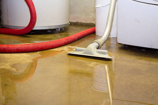 Best Sewage cleanup and water damage restoration  in Milroy, PA