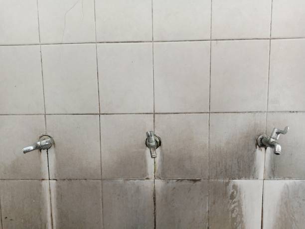 Best Water damage contractors near me  in Milroy, PA