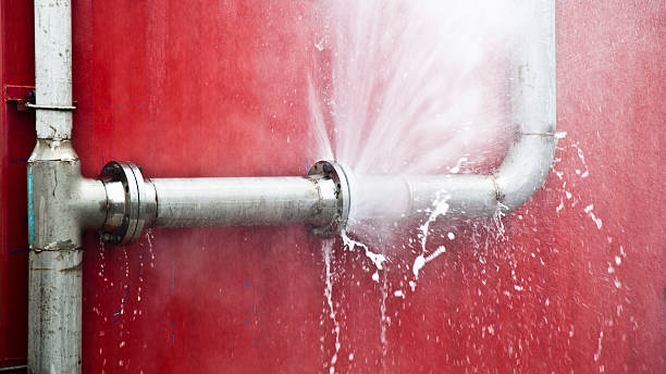 Best Professional water damage repair  in Milroy, PA