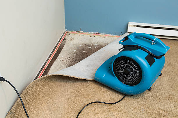 Best Water damage contractors near me  in Milroy, PA